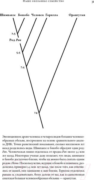 Изображение товара Книга Альпина Наша внутренняя обезьяна (Де Вааль Ф.)