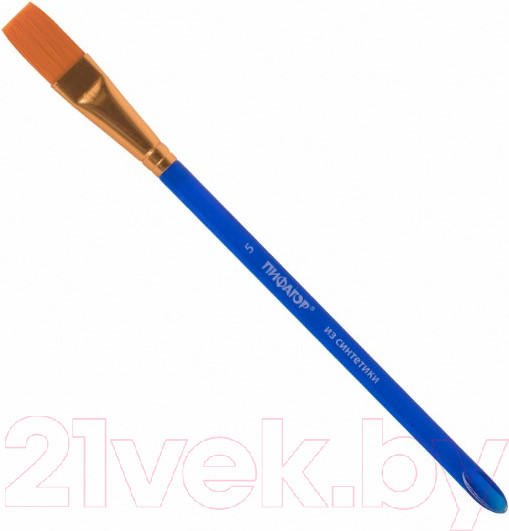 Изображение товара Набор кистей Пифагор 200888 (5шт)