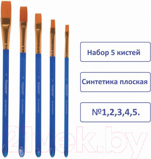Изображение товара Набор кистей Пифагор 200888 (5шт)