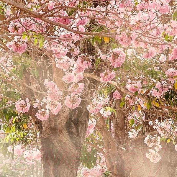 Изображение товара Фотообои листовые Citydecor Сказочная природа 5 (200x140)