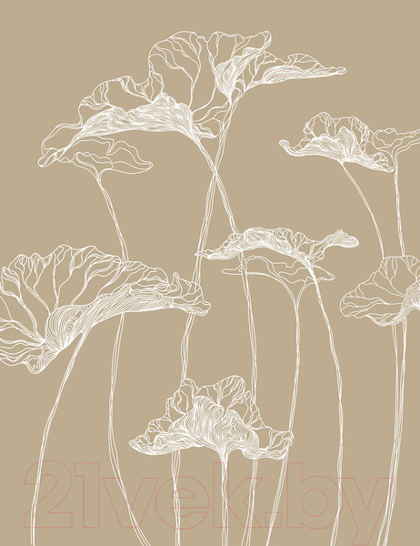 Изображение товара Фотообои листовые Citydecor Perfect Lines 3 (200х260)