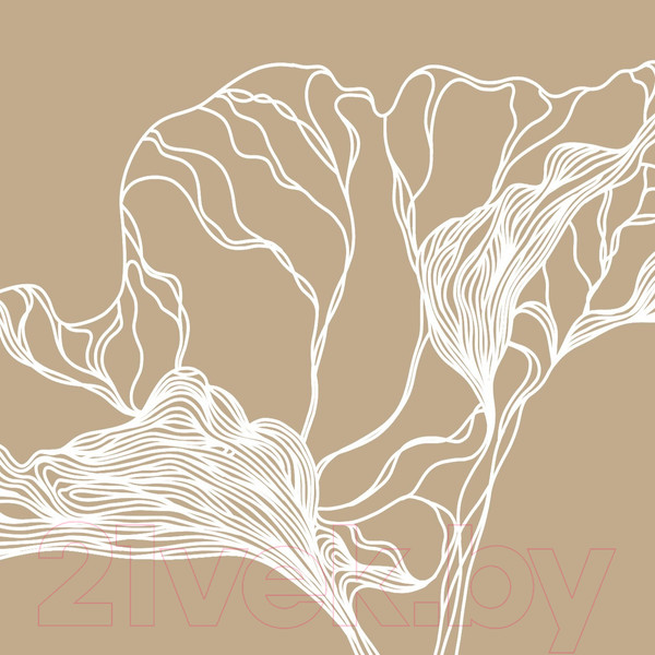 Изображение товара Фотообои листовые Citydecor Perfect Lines 3 (200х260)