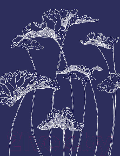 Изображение товара Фотообои листовые Citydecor Perfect Lines 5 (200х260)