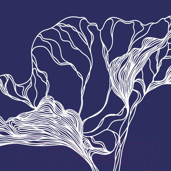 Изображение товара Фотообои листовые Citydecor Perfect Lines 5 (200х260)