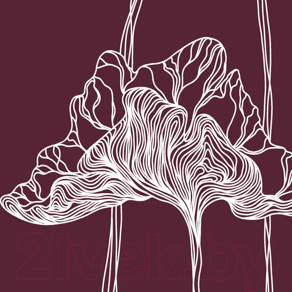 Изображение товара Фотообои листовые Citydecor Perfect Lines 7 (200х260)