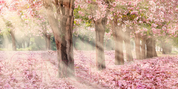 Изображение товара Фотообои листовые Citydecor Сказочная природа 5 (300x150)