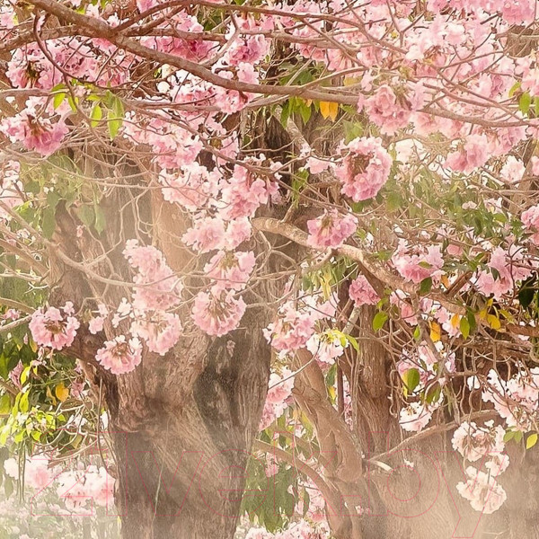 Изображение товара Фотообои листовые Citydecor Сказочная природа 5 (300x150)