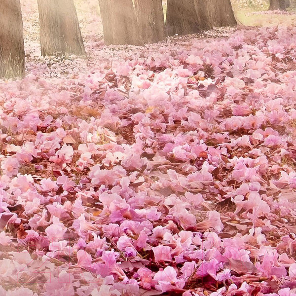 Изображение товара Фотообои листовые Citydecor Сказочная природа 5 (300x150)