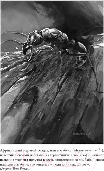 Изображение товара Книга Альпина Планета муравьев (Уилсон Э.)