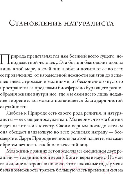 Изображение товара Книга Альпина Планета муравьев (Уилсон Э.)