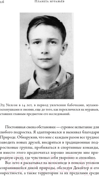 Изображение товара Книга Альпина Планета муравьев (Уилсон Э.)