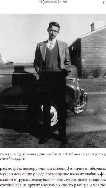 Изображение товара Книга Альпина Планета муравьев (Уилсон Э.)