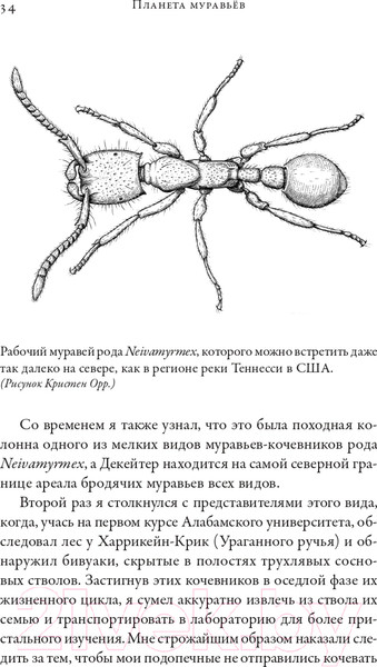 Изображение товара Книга Альпина Планета муравьев (Уилсон Э.)