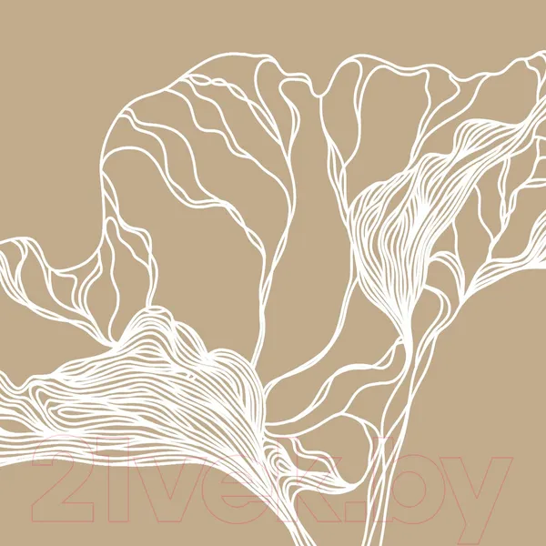Изображение товара Фотообои листовые Citydecor Perfect Lines 3 (300x150)