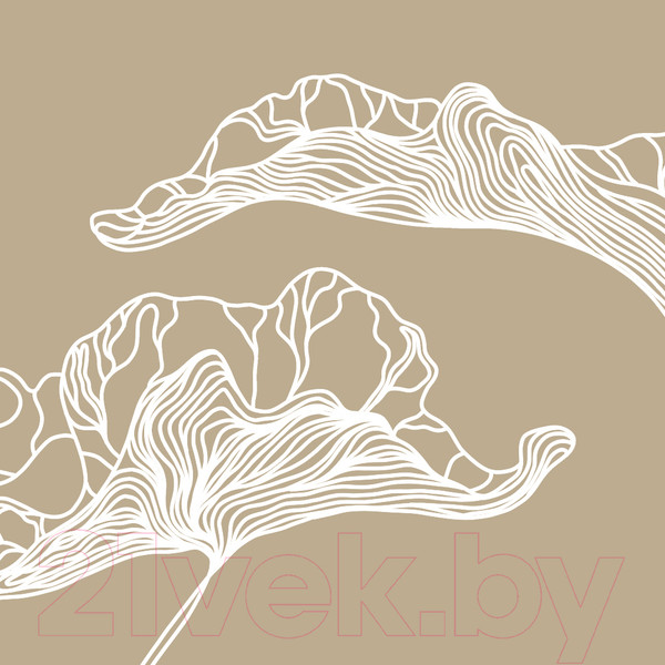 Изображение товара Фотообои листовые Citydecor Perfect Lines 3 (300х260)