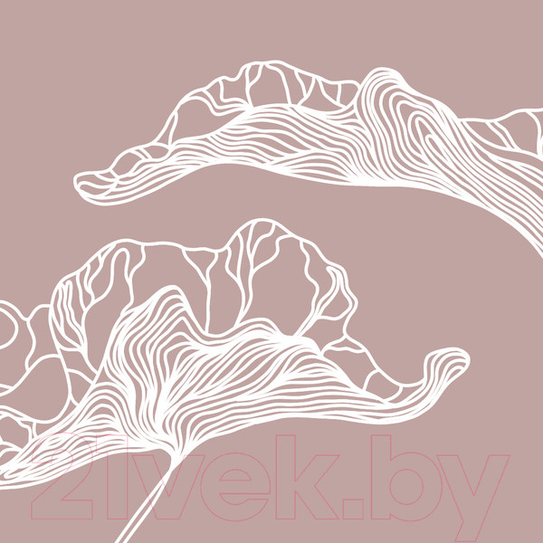 Изображение товара Фотообои листовые Citydecor Perfect Lines 4 (300х260)