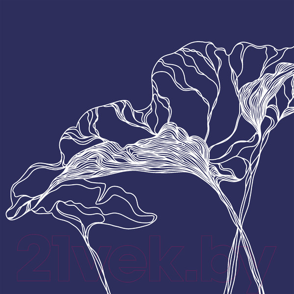 Изображение товара Фотообои листовые Citydecor Perfect Lines 5 (300х260)