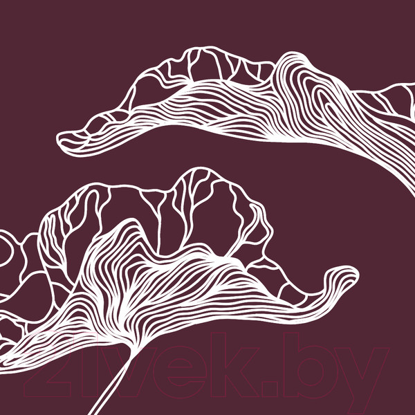 Изображение товара Фотообои листовые Citydecor Perfect Lines 7 (300х260)