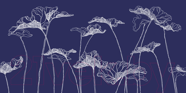 Изображение товара Фотообои листовые Citydecor Perfect Lines 5 (300x150)