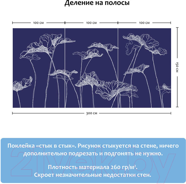 Изображение товара Фотообои листовые Citydecor Perfect Lines 5 (300x150)