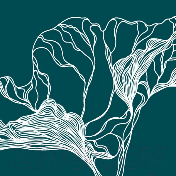 Изображение товара Фотообои листовые Citydecor Perfect Lines 6 (300x150)