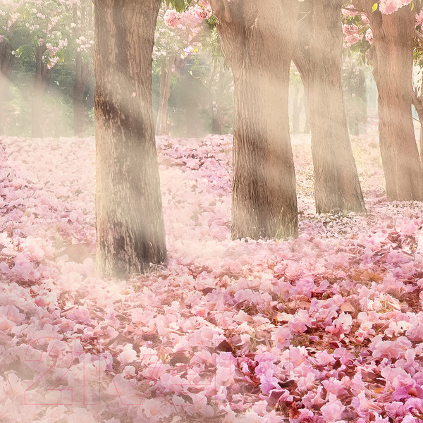 Изображение товара Фотообои листовые Citydecor Сказочная природа 5 (300x260)