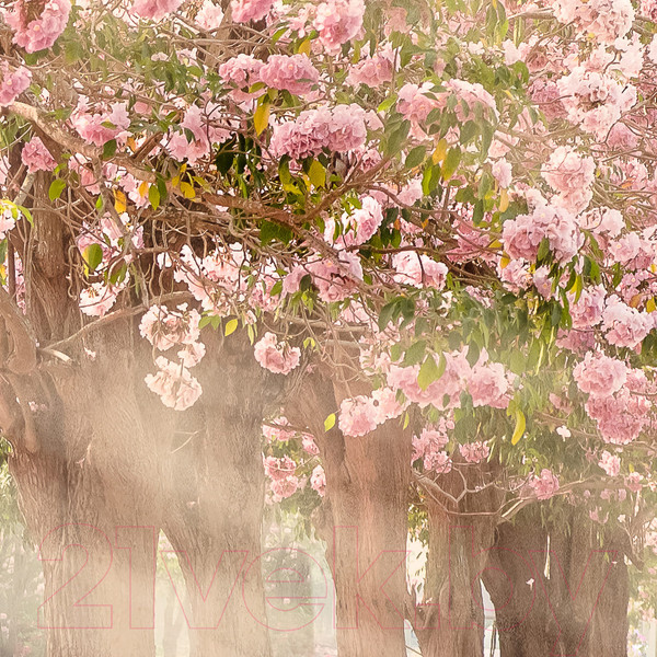 Изображение товара Фотообои листовые Citydecor Сказочная природа 5 (300x260)