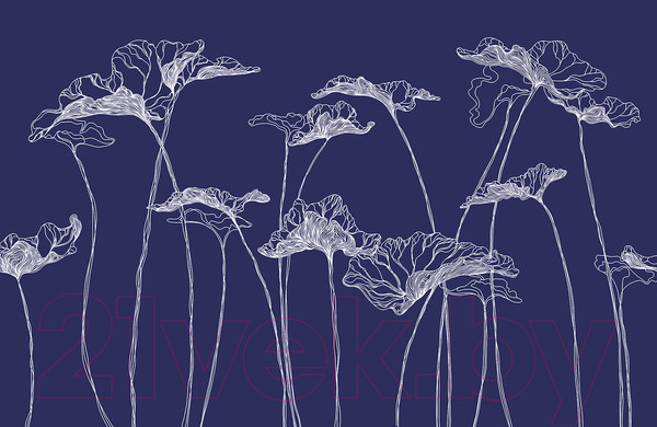 Изображение товара Фотообои листовые Citydecor Perfect Lines 5 (400x260)