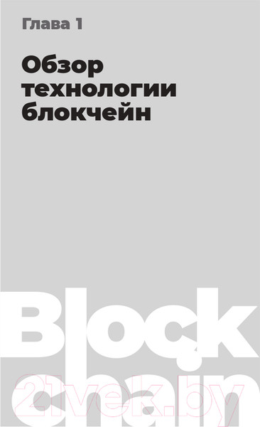 Изображение товара Книга Альпина Блокчейн на практике (Табернакулов А., Койфманн Я.)