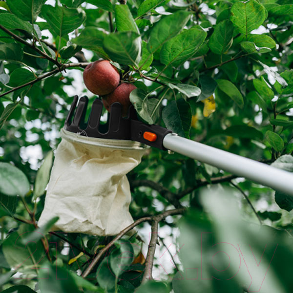 Изображение товара Плодосъемник Bradas KT-V1531-375