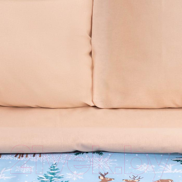 Изображение товара Комплект постельного белья Этель Зимнее волшебство / 4935588