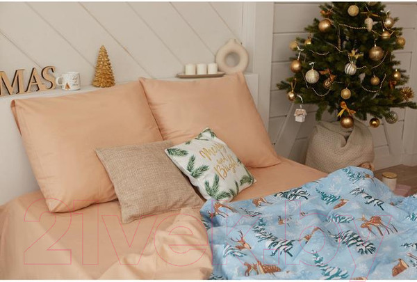 Изображение товара Комплект постельного белья Этель Зимнее волшебство / 4935588