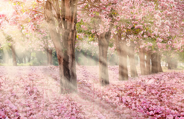 Изображение товара Фотообои листовые Citydecor Сказочная природа 5 (400x260)