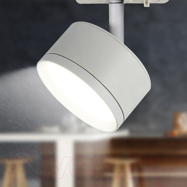 Изображение товара Трековый светильник ЭРА TR48-GX53 WH / Б0054158