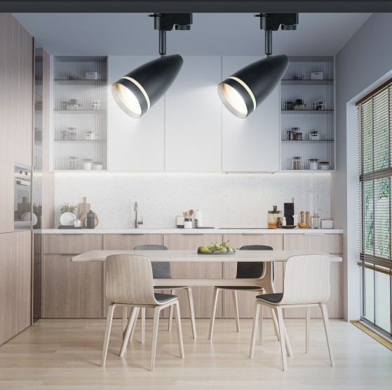 Изображение товара Трековый светильник ЭРА TR49-GU10 BK / Б0054162