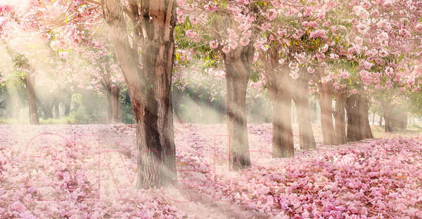 Изображение товара Фотообои листовые Citydecor Сказочная природа 5 (500х260)