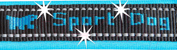 Изображение товара Поводок Ferplast Sport Dog Matic G25/120 / 78004425 (голубой)