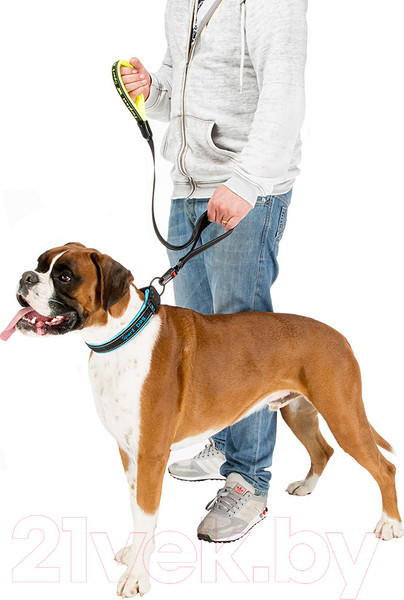 Изображение товара Поводок Ferplast Sport Dog Matic G25/120 / 78004425 (голубой)