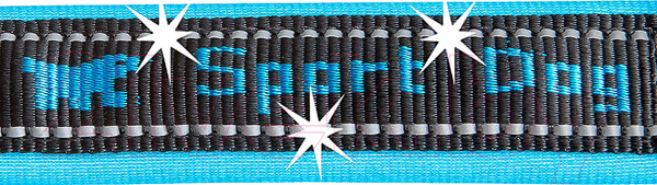 Изображение товара Поводок Ferplast Sport Dog Matic GA20/200 / 78004435 (голубой)