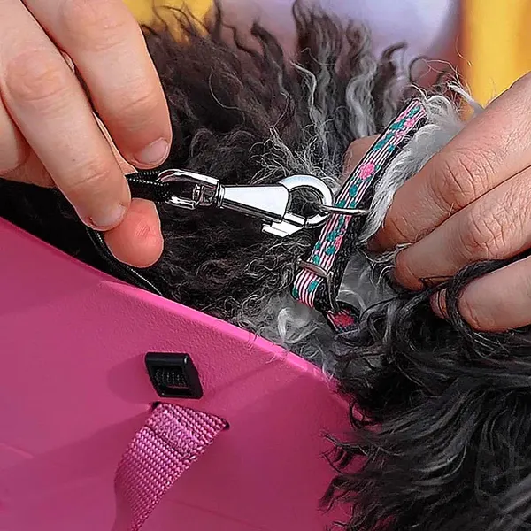 Изображение товара Сумка для животных Ferplast With me S / 79501019 (фиолетовый)