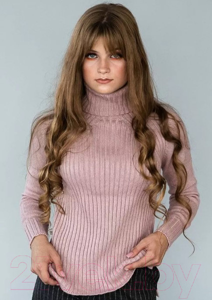 Изображение товара Джемпер Polesie 0С8593-Д43 (р.170,176-88, розовый дым)