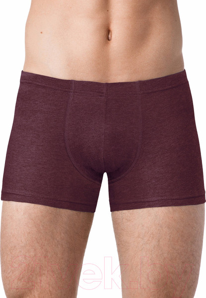 Изображение товара Трусы мужские Alfa Man 6303 (р-р 78-82, бордо меланж)