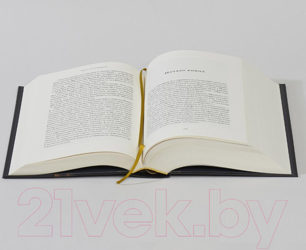 Изображение товара Книга Альпина Плантагенеты. Короли и королевы, создавшие Англию (Джонс Д.)