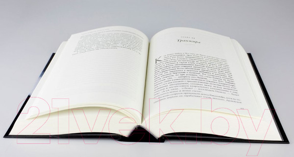 Изображение товара Книга Альпина Страх и надежда. Как Черчилль спас Британию от катастрофы (Ларсон Э.)