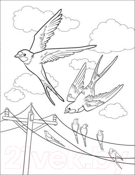 Изображение товара Раскраска Росмэн Лучшая раскраска! Животные / 9785353101499