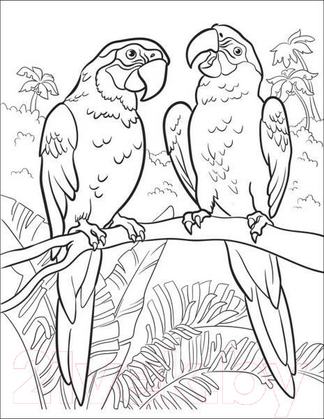 Изображение товара Раскраска Росмэн Лучшая раскраска! Животные / 9785353101499