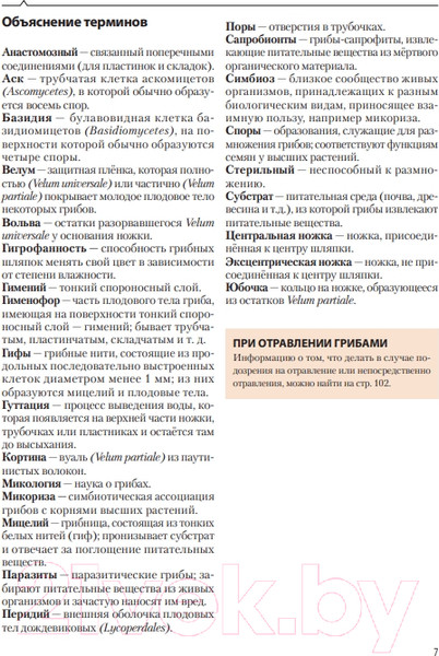 Изображение товара Энциклопедия Эксмо Грибы (Флюк М.)