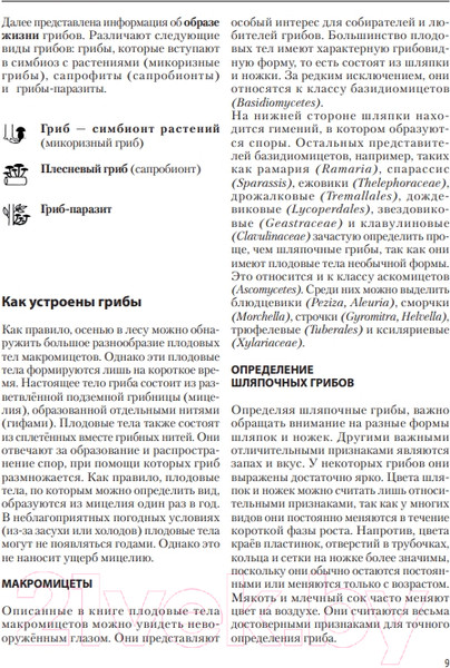 Изображение товара Энциклопедия Эксмо Грибы (Флюк М.)