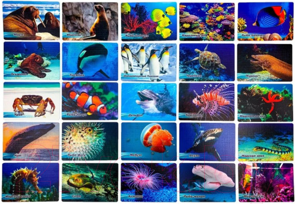 Изображение товара Настольная игра АльфаТойс Мемо Обитатели морей и океанов / 11408