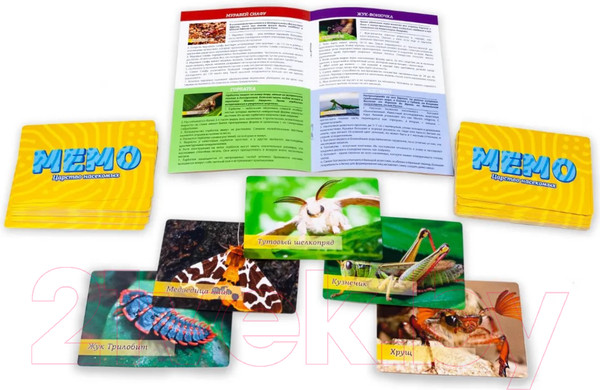 Изображение товара Настольная игра АльфаТойс Мемо Царство насекомых / 11412